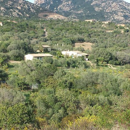 Agriturismo Agrisole Olbia Exteriér fotografie