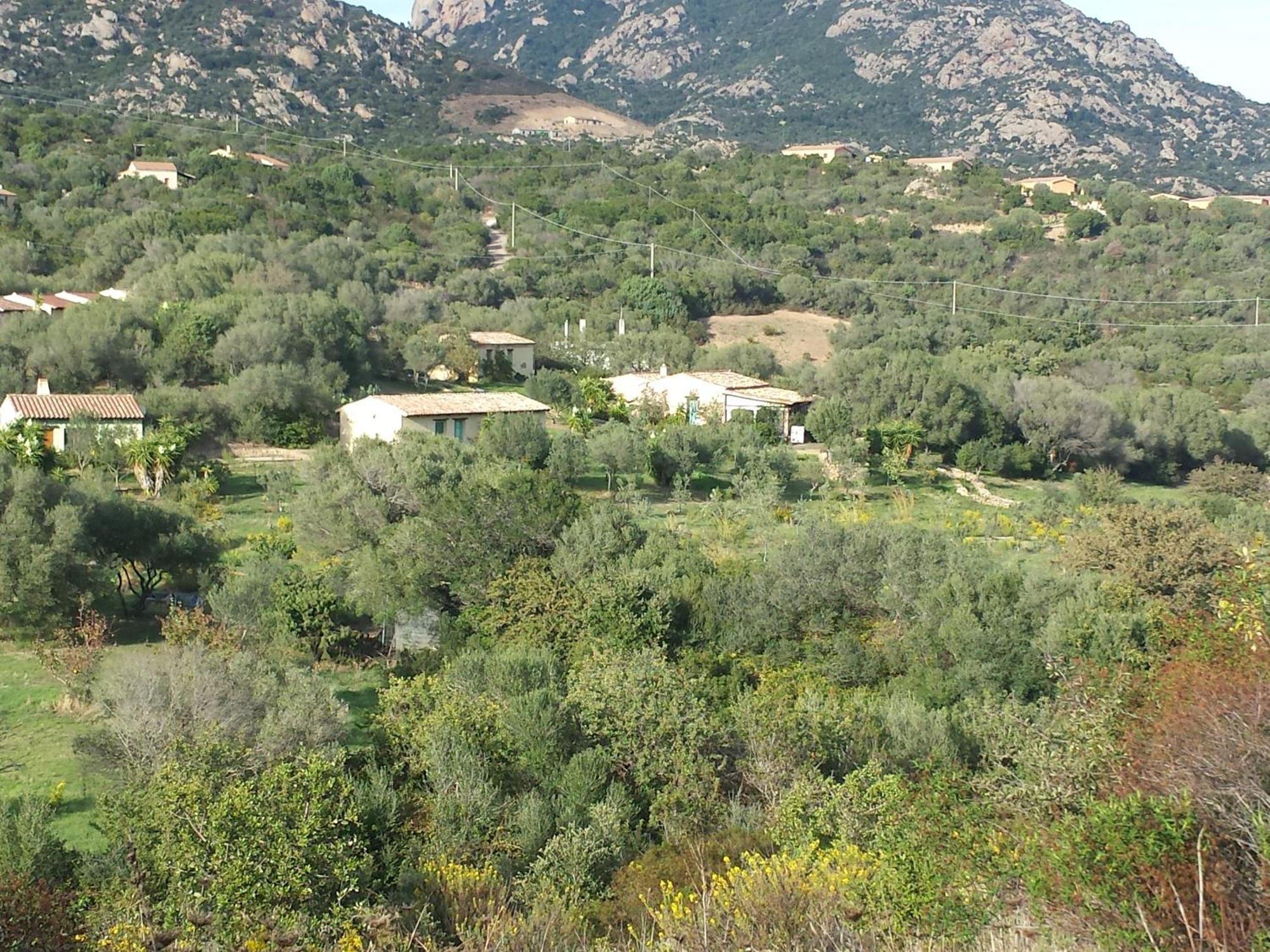 Agriturismo Agrisole Olbia Exteriér fotografie
