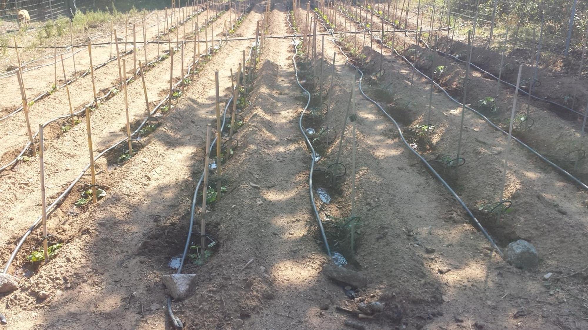 Agriturismo Agrisole Olbia Exteriér fotografie