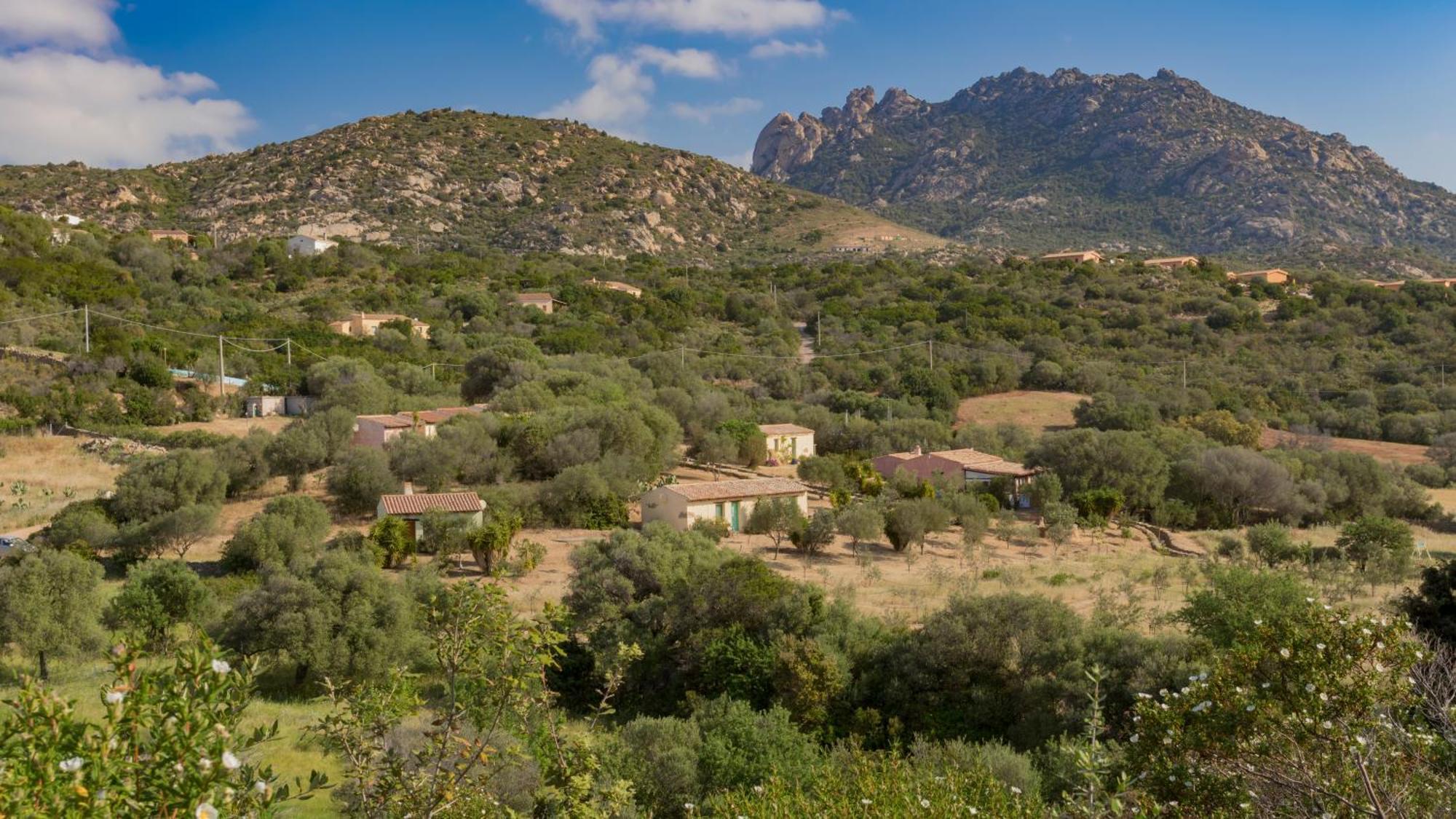 Agriturismo Agrisole Olbia Exteriér fotografie