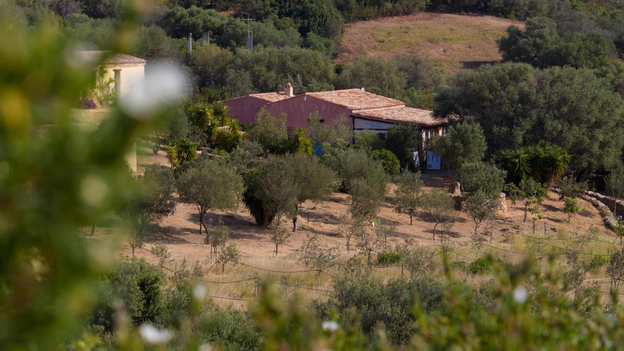 Agriturismo Agrisole Olbia Exteriér fotografie
