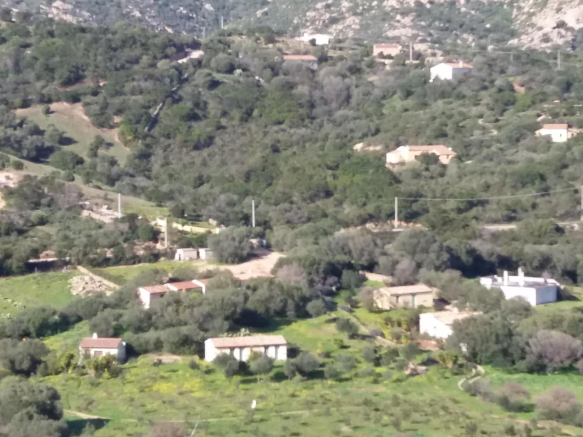 Agriturismo Agrisole Olbia Exteriér fotografie