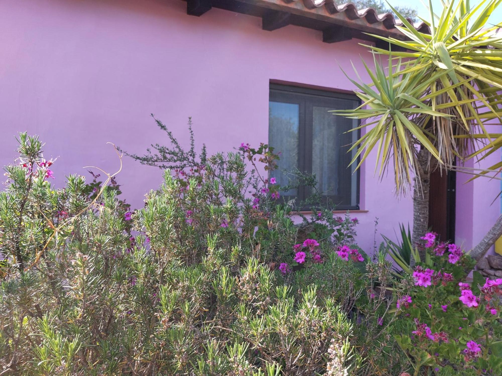 Agriturismo Agrisole Olbia Exteriér fotografie